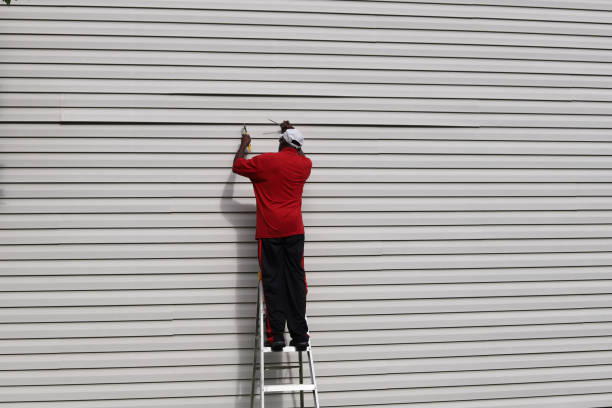 Best Custom Siding Design  in Coldwater, MS
